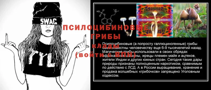 Галлюциногенные грибы Magic Shrooms  Козловка 